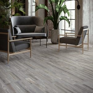 Havana Grey - Image 3